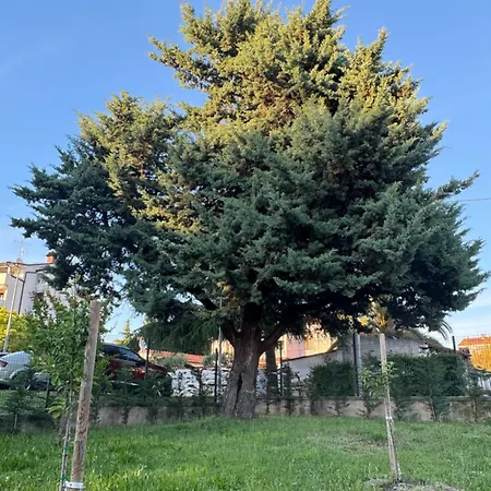 Pical Garden * Porec