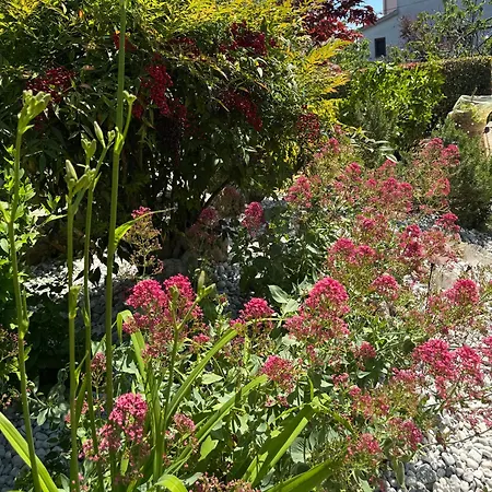 Pical Garden * Porec